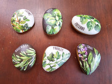 Load image into Gallery viewer, Herbs- Painted Rocks
