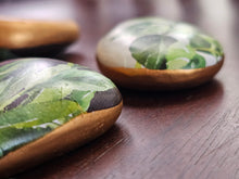 Load image into Gallery viewer, Herbs- Painted Rocks
