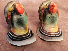 Load image into Gallery viewer, Turkey Salt and Pepper Shakers
