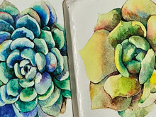 Load image into Gallery viewer, Succulent Soapstone Coasters
