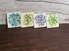 Load image into Gallery viewer, Succulent Soapstone Coasters
