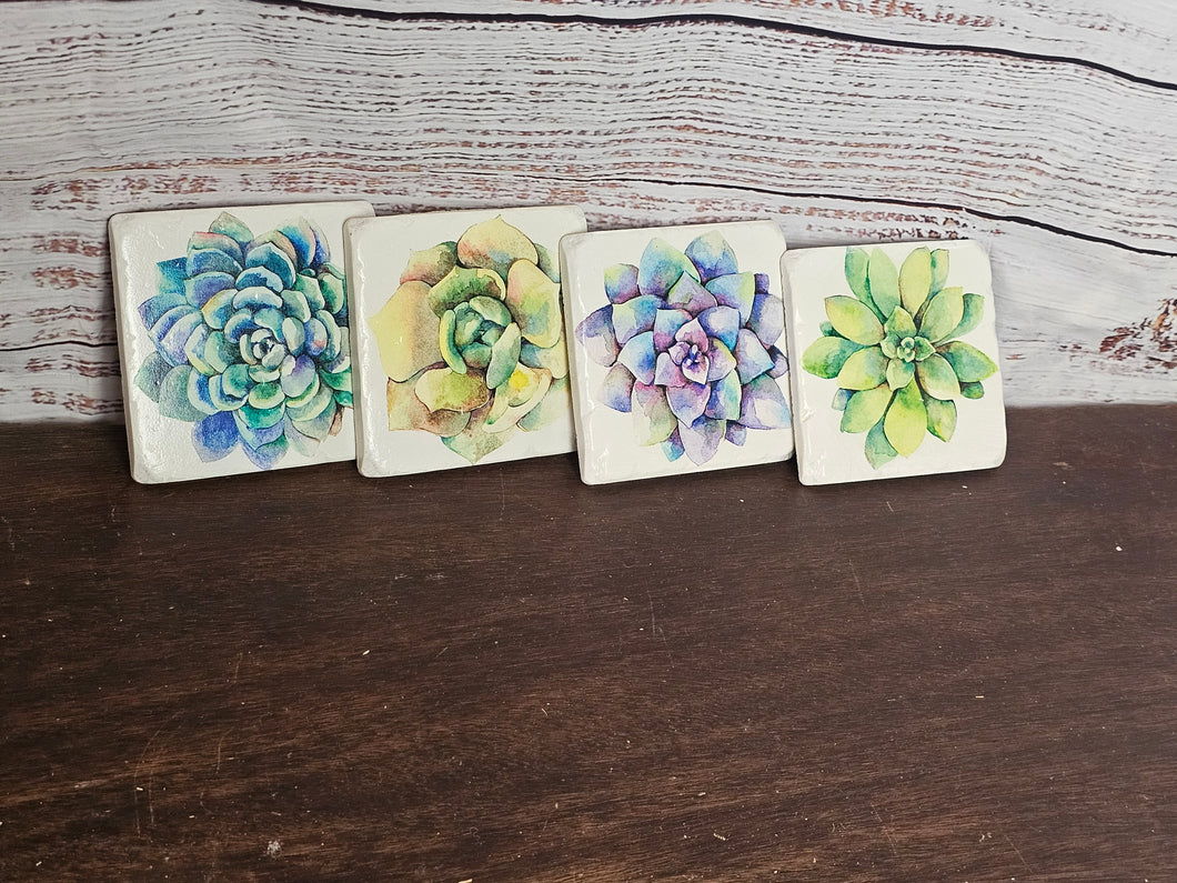 Succulent Soapstone Coasters