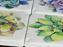 Load image into Gallery viewer, Succulent Soapstone Coasters
