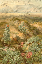 Load image into Gallery viewer, Vintage Desert Succulent Decoupage Paper
