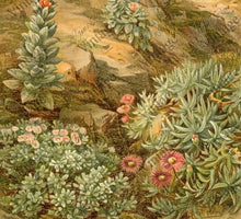 Load image into Gallery viewer, Vintage Desert Succulent Decoupage Paper
