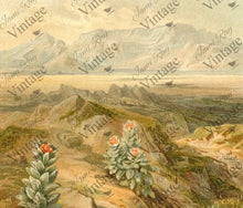 Load image into Gallery viewer, Vintage Desert Succulent Decoupage Paper
