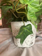 Load image into Gallery viewer, Silk foliage with pot
